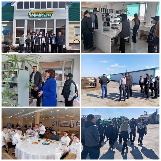 661979485_2232979574139121_5252358425510786160_n